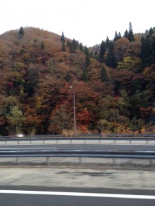 青森の紅葉風景