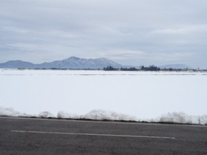 トクニ工業の周りの風景